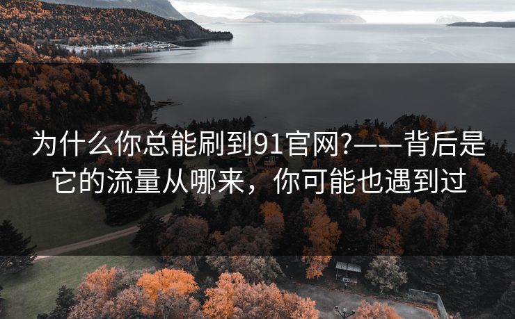 为什么你总能刷到91官网?——背后是它的流量从哪来，你可能也遇到过